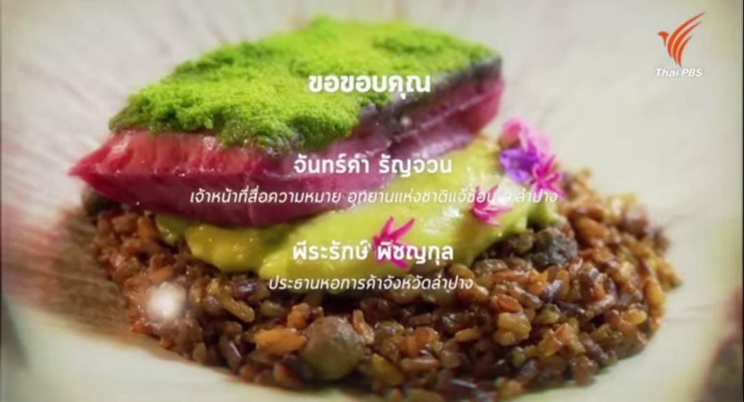 cookculture